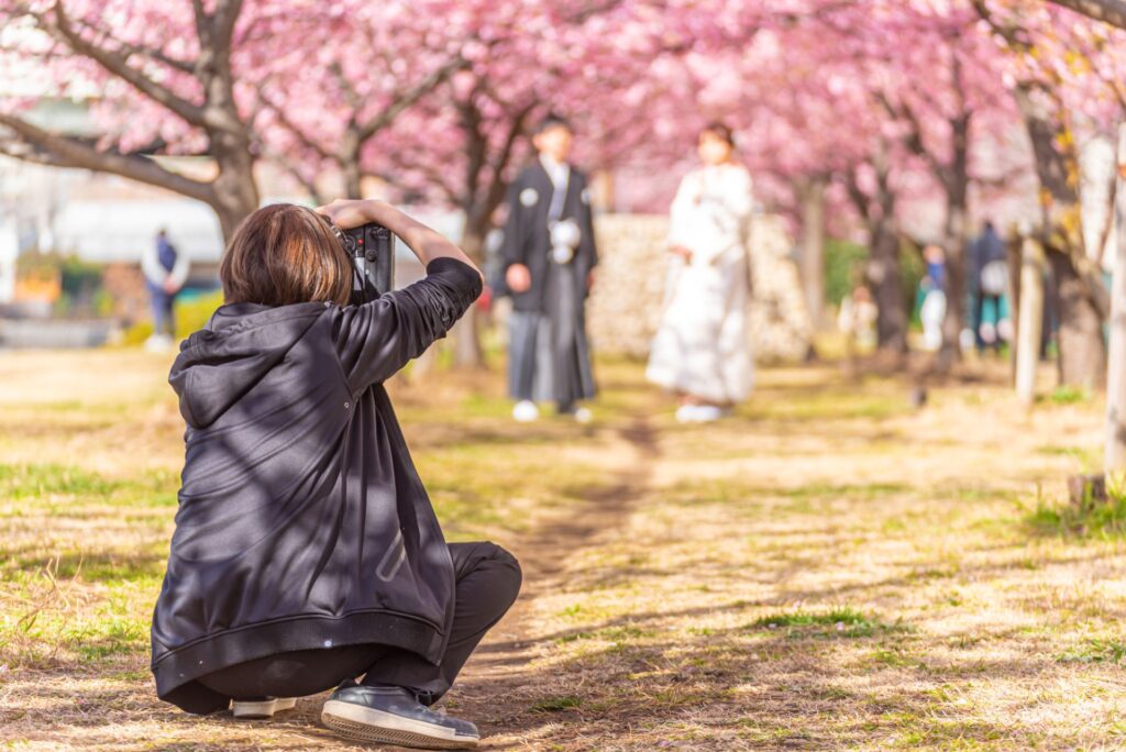 【静岡・浜松前撮り】今年の桜開花予想は3月X日？