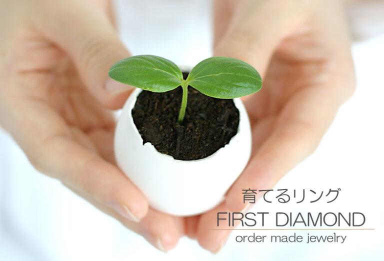 【浜松市】オーダーメイドの結婚指輪「子供の誕生石と刻印」を追加できる育てるリング