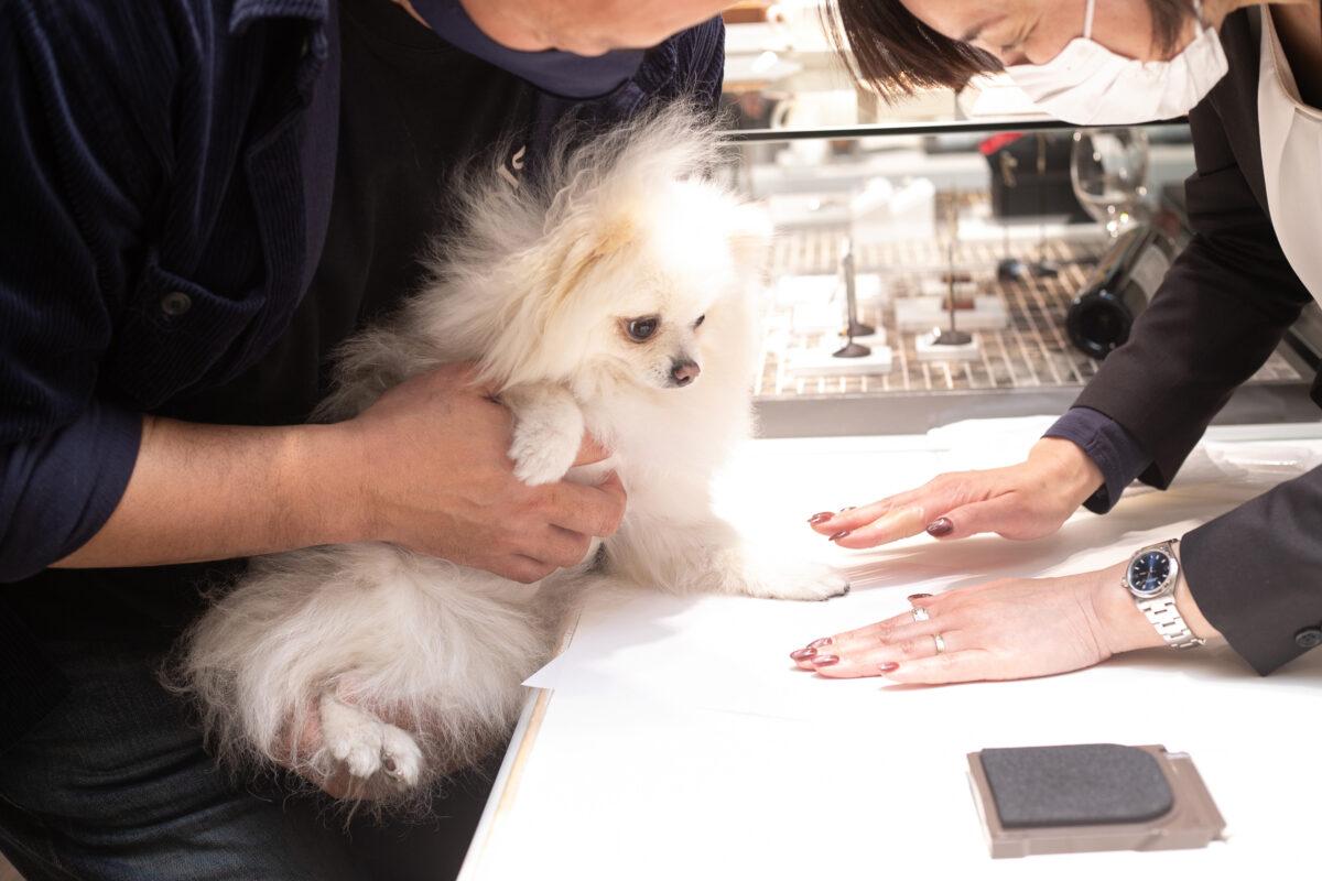 【静岡】ペットと一緒に打合せ！結婚指輪に愛犬との思い出を刻もう